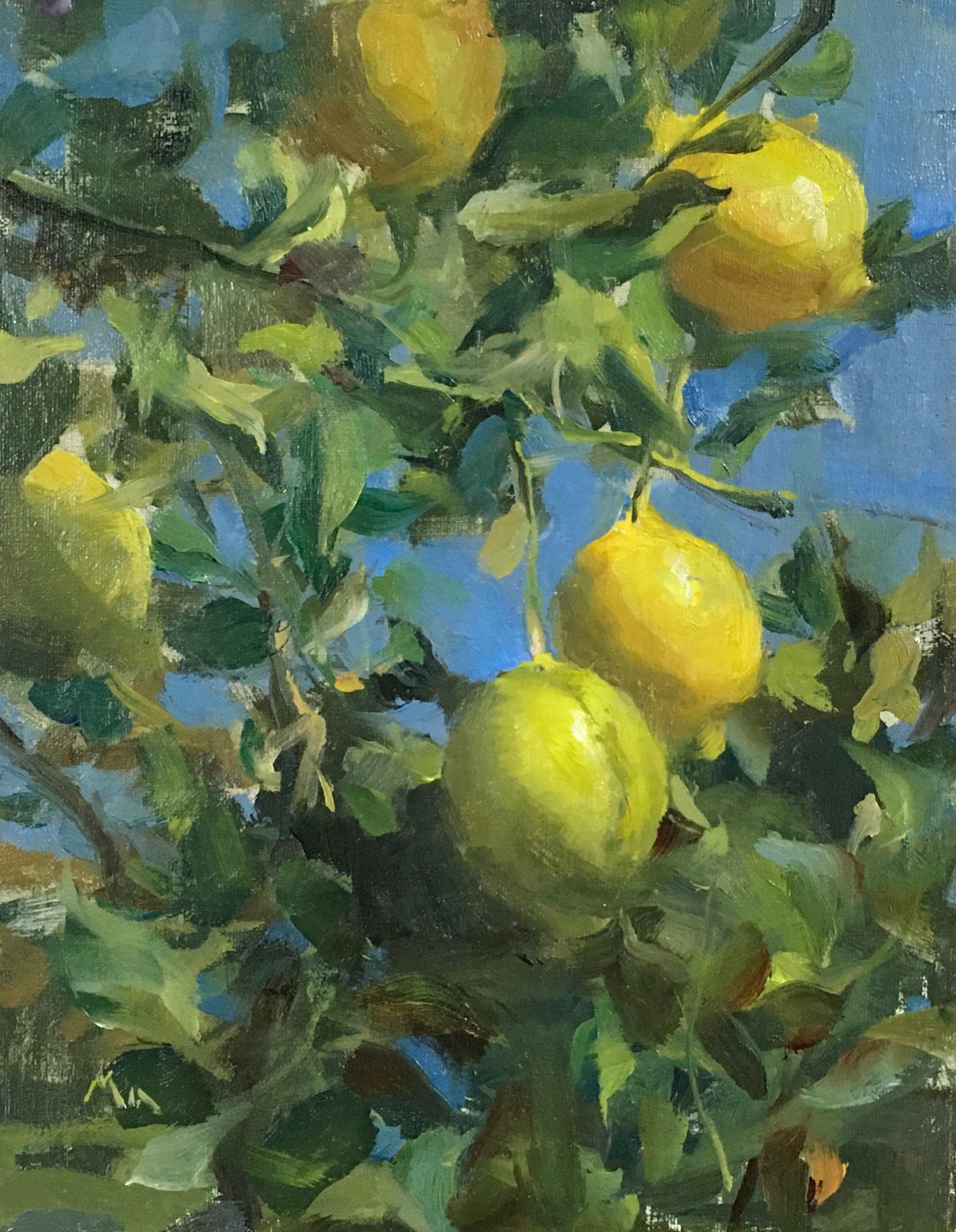 Coronado Lemons Art Piece available at Hindes Fine Art Gallery