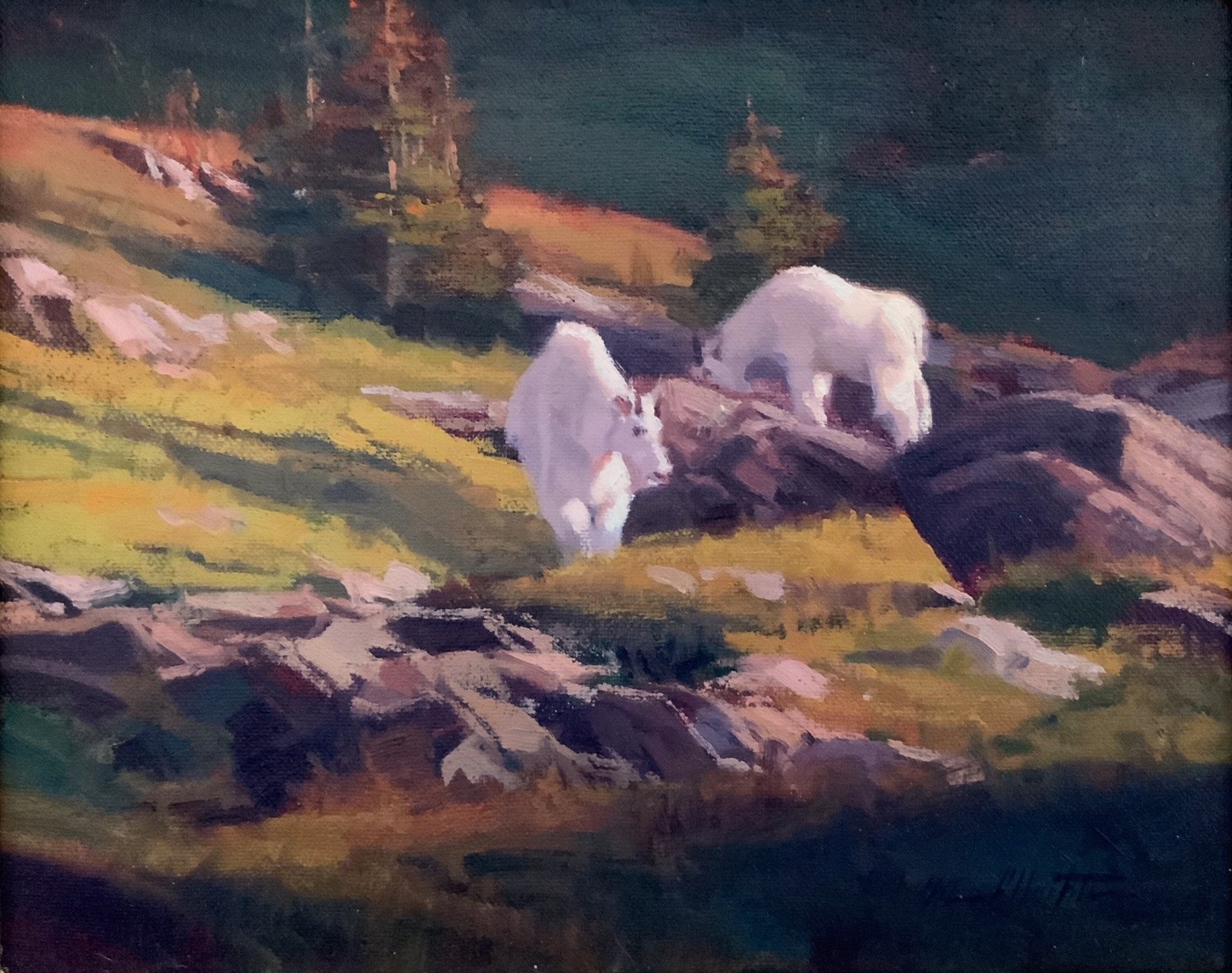 An oil painting of an afternoon mountain scene with two mountain goats grazing amongst the rocks and pine trees