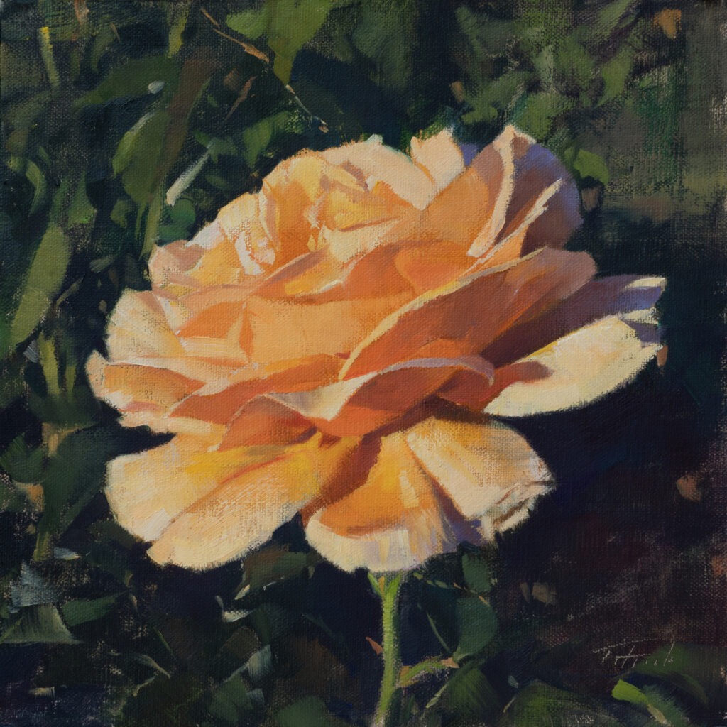Ember (SOLD)
