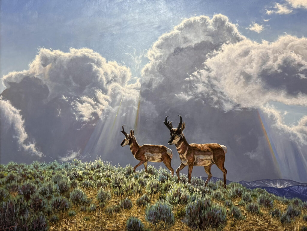 Nathaniel Garza - Summer Bachelors