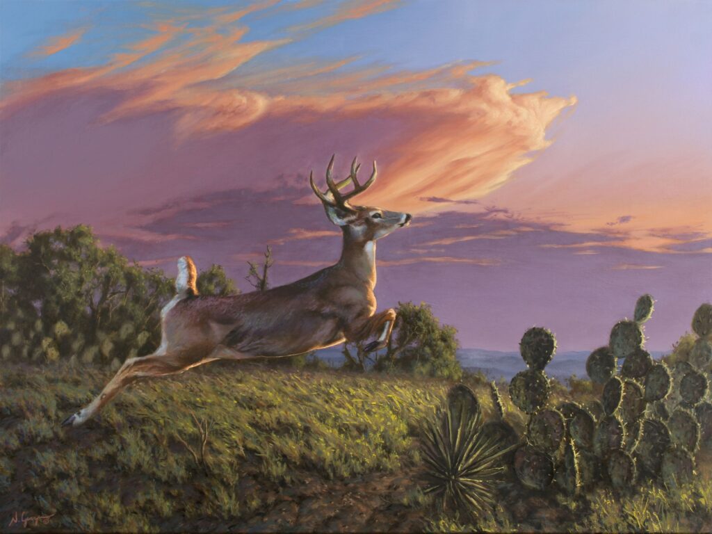 Where The Wind Blows