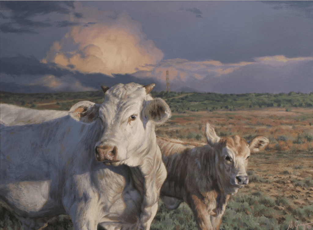 Somewhere South of Charlotte