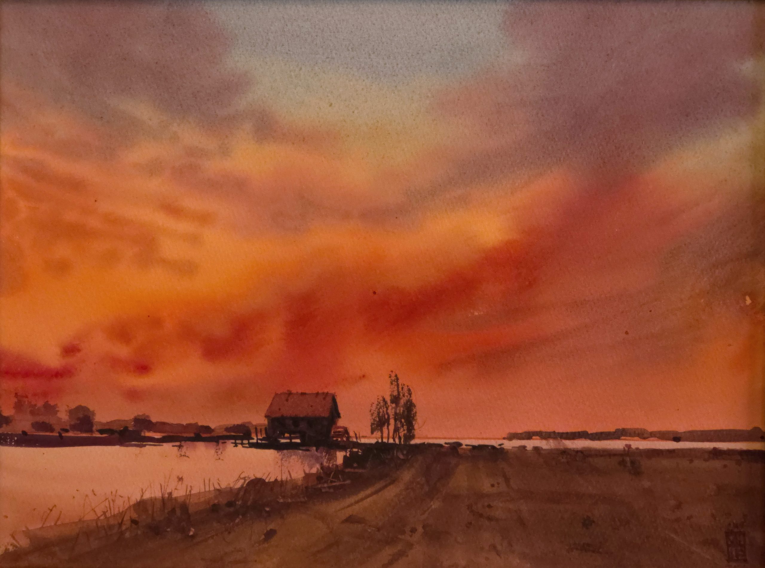 Poplar Sunset